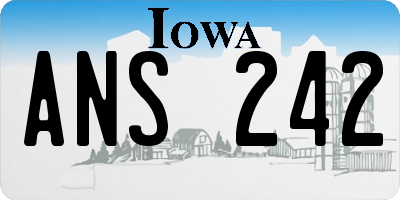IA license plate ANS242