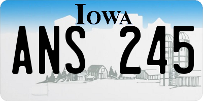 IA license plate ANS245