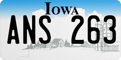 IA license plate ANS263