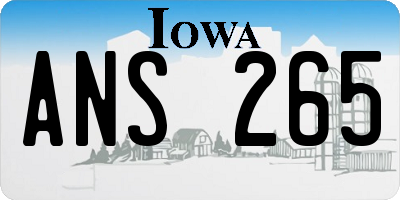 IA license plate ANS265