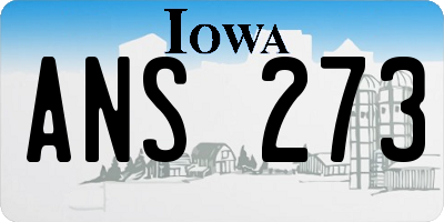IA license plate ANS273