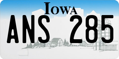 IA license plate ANS285