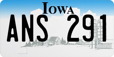 IA license plate ANS291