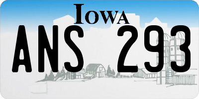 IA license plate ANS293