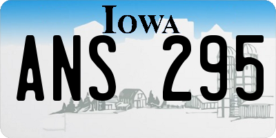 IA license plate ANS295