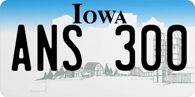 IA license plate ANS300
