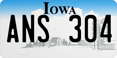 IA license plate ANS304