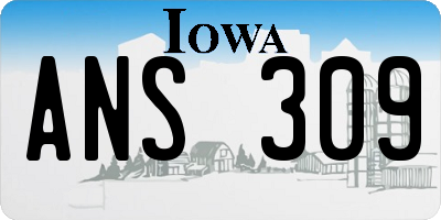 IA license plate ANS309