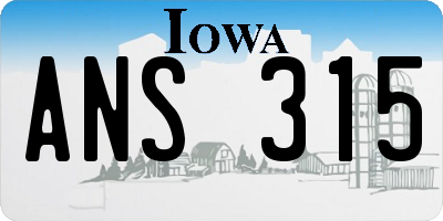 IA license plate ANS315