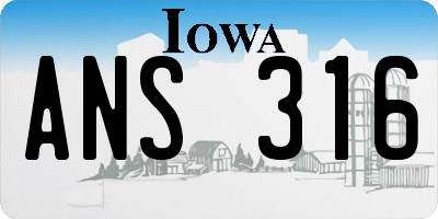 IA license plate ANS316
