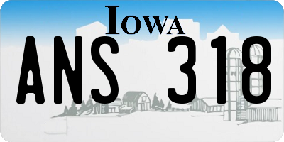 IA license plate ANS318