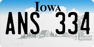 IA license plate ANS334