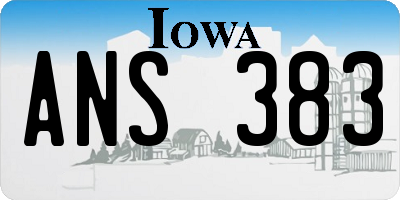 IA license plate ANS383