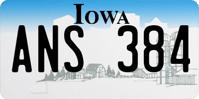 IA license plate ANS384