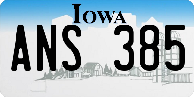 IA license plate ANS385
