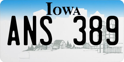 IA license plate ANS389