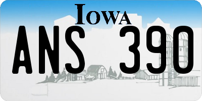 IA license plate ANS390