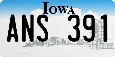 IA license plate ANS391