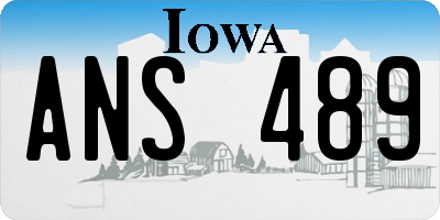 IA license plate ANS489