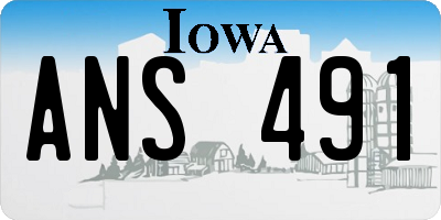 IA license plate ANS491
