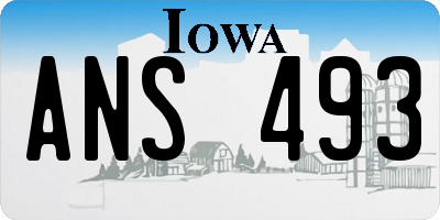 IA license plate ANS493