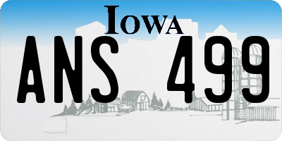 IA license plate ANS499