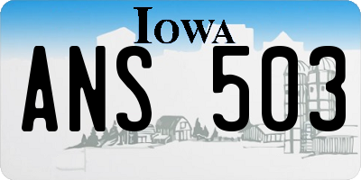 IA license plate ANS503