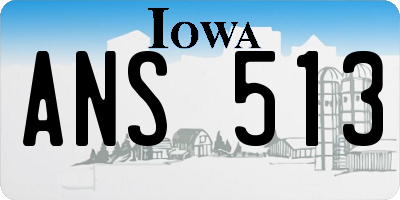 IA license plate ANS513