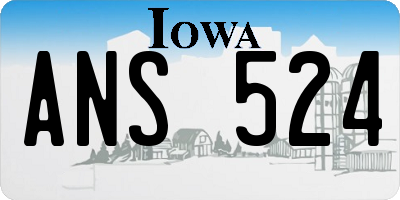 IA license plate ANS524