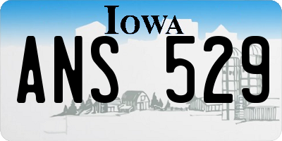 IA license plate ANS529