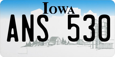 IA license plate ANS530