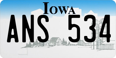 IA license plate ANS534