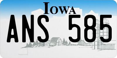 IA license plate ANS585