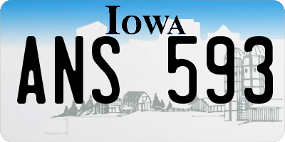 IA license plate ANS593