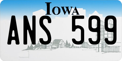 IA license plate ANS599