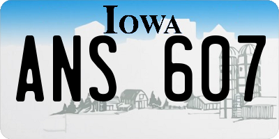 IA license plate ANS607