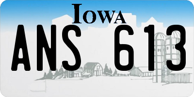 IA license plate ANS613