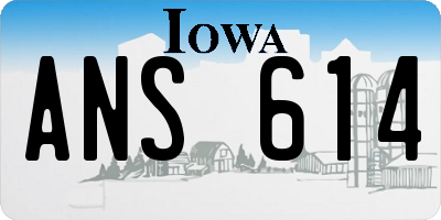 IA license plate ANS614