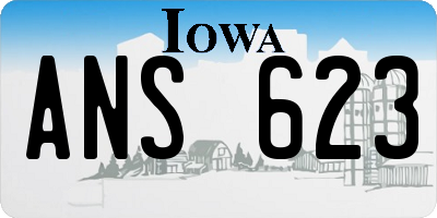 IA license plate ANS623