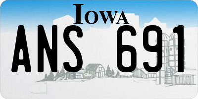 IA license plate ANS691