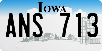 IA license plate ANS713