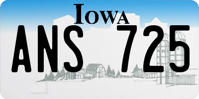 IA license plate ANS725