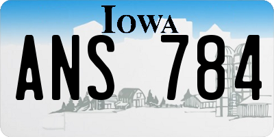 IA license plate ANS784