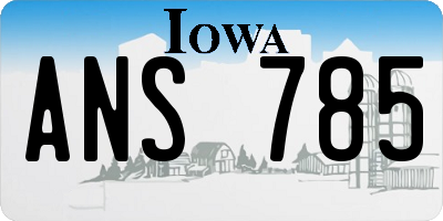 IA license plate ANS785