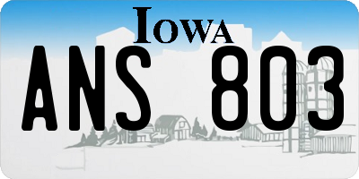IA license plate ANS803