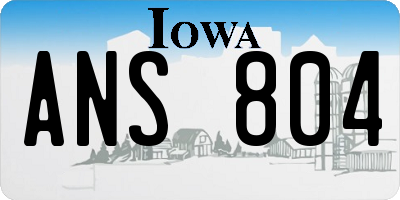 IA license plate ANS804