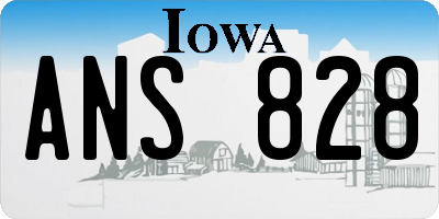 IA license plate ANS828