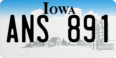 IA license plate ANS891