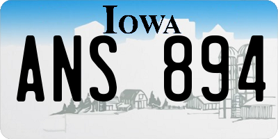 IA license plate ANS894