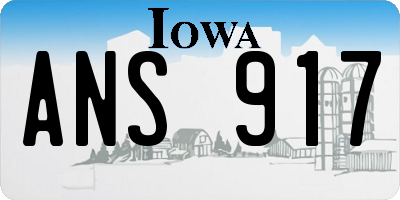 IA license plate ANS917